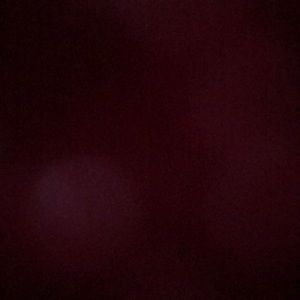 Meet your Posher, Daisy